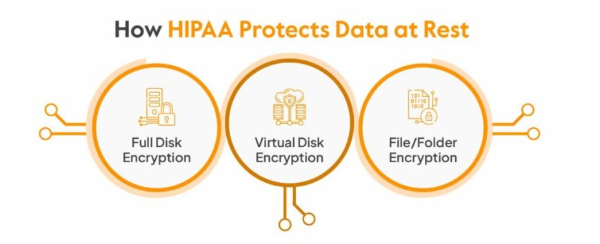 Tips for Securing Healthcare Data with HIPAA Data Encryption Services