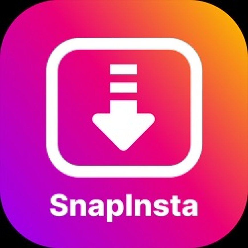 SnapInsta: all in one downloader for Instagram!