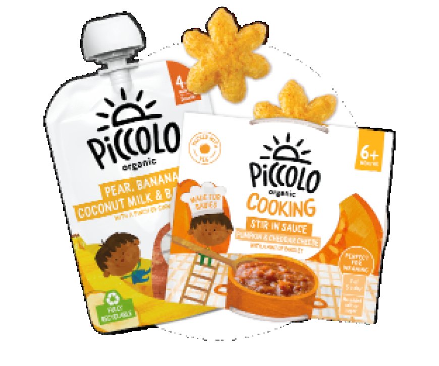 MyLittlePiccolo: Crafting Homemade Children's Nutrition