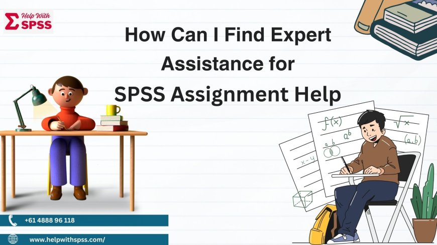 How Can I Find Expert Assistance for My SPSS Assignment help