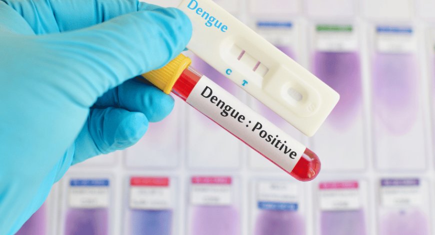 Dengue Testing Market Size, Trends, Share and Forecast 2024-2032