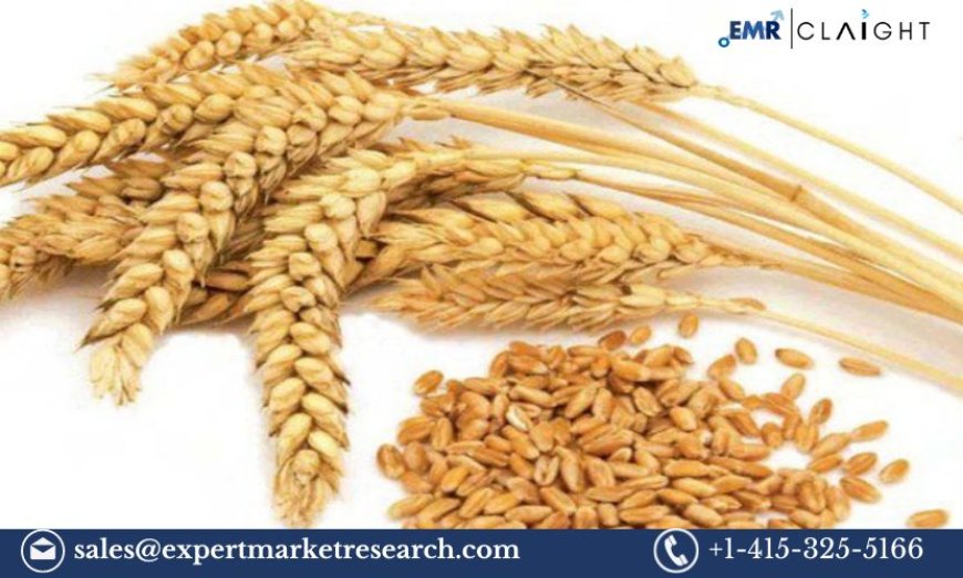 United States Wheat Protein Market Size, Share, Growth and Analysis 2024-2032
