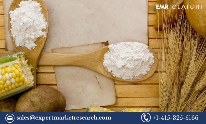 North America Industrial Starch Market Trends, Growth, Size and Share 2024-2032