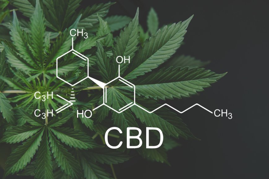 Cannabinoids Market Revenue Growth and Quantitative Analysis Till 2033