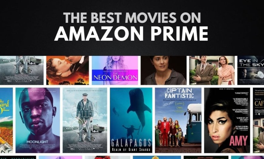 Best Amazon Prime Movies to Watch Now: Unveiling the Magic of Vexusoft
