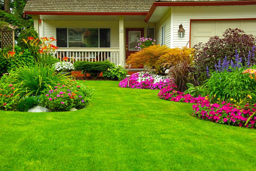 Maximizing Your Garden's Potential: A Comprehensive Guide