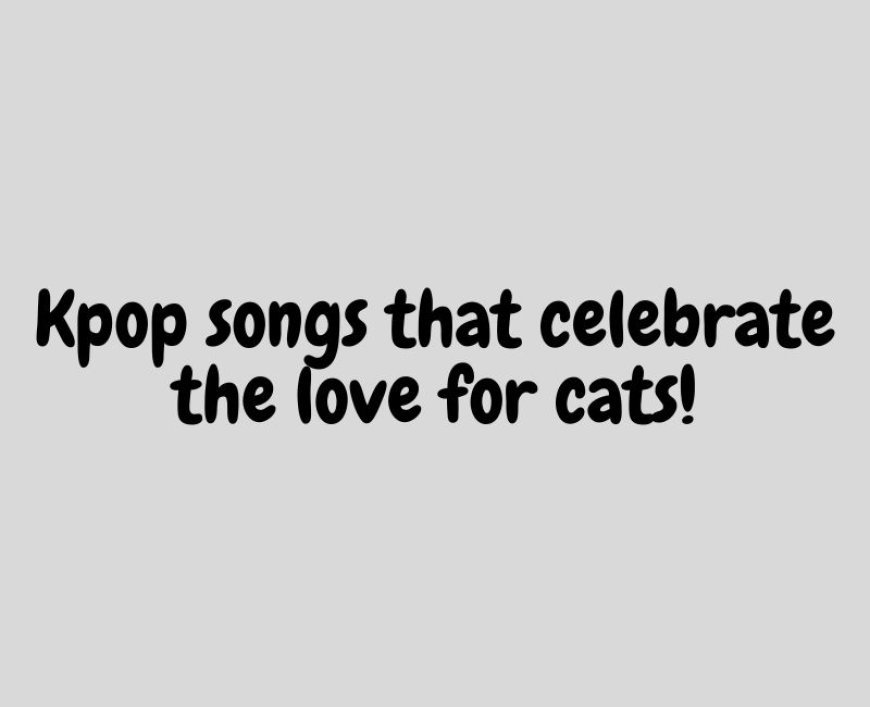 Kpop songs that celebrate the love for cats