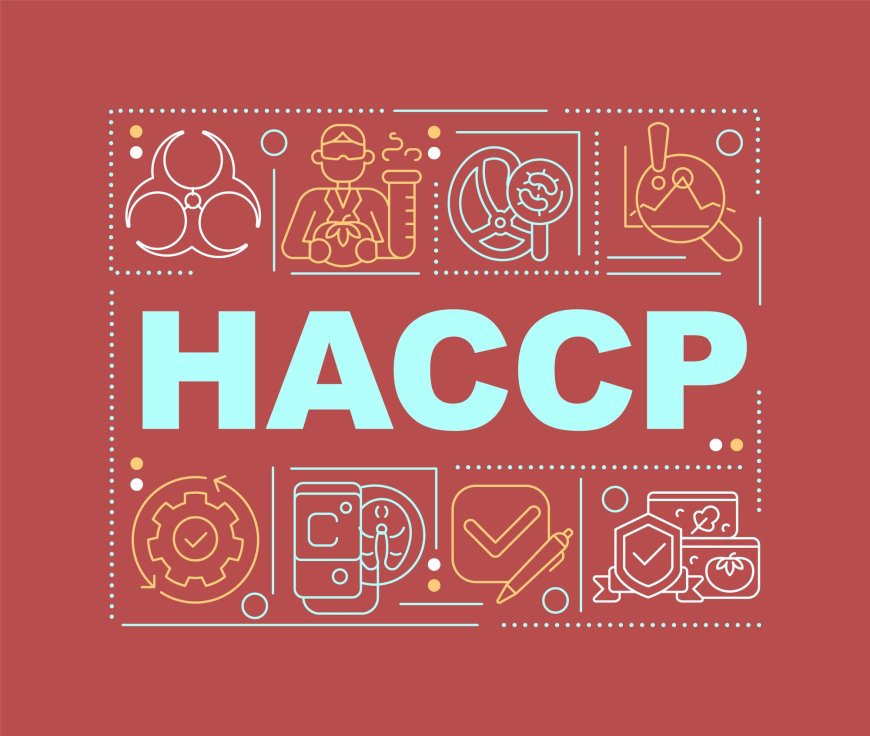 Demystifying HACCP: A Comprehensive Guide to Food Safety