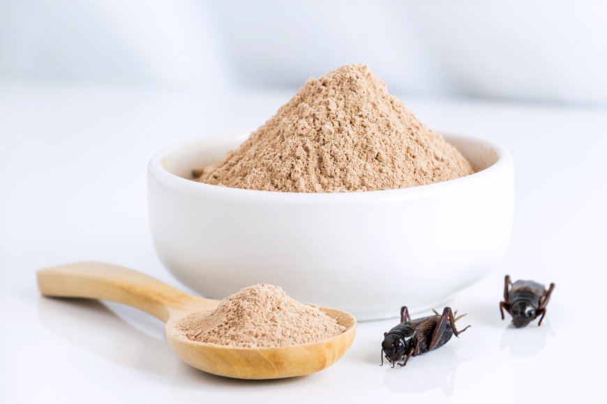 Cricket Protein Powders Market Future Landscape To Witness Significant Growth by 2033