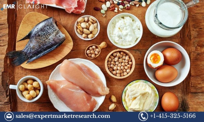 Germany Animal Protein Market Size, Share, Trends and Report 2024-2032