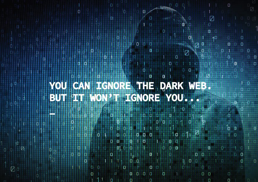BigFat.cc and the Dark Web: A Look into the World of Illicit Trade