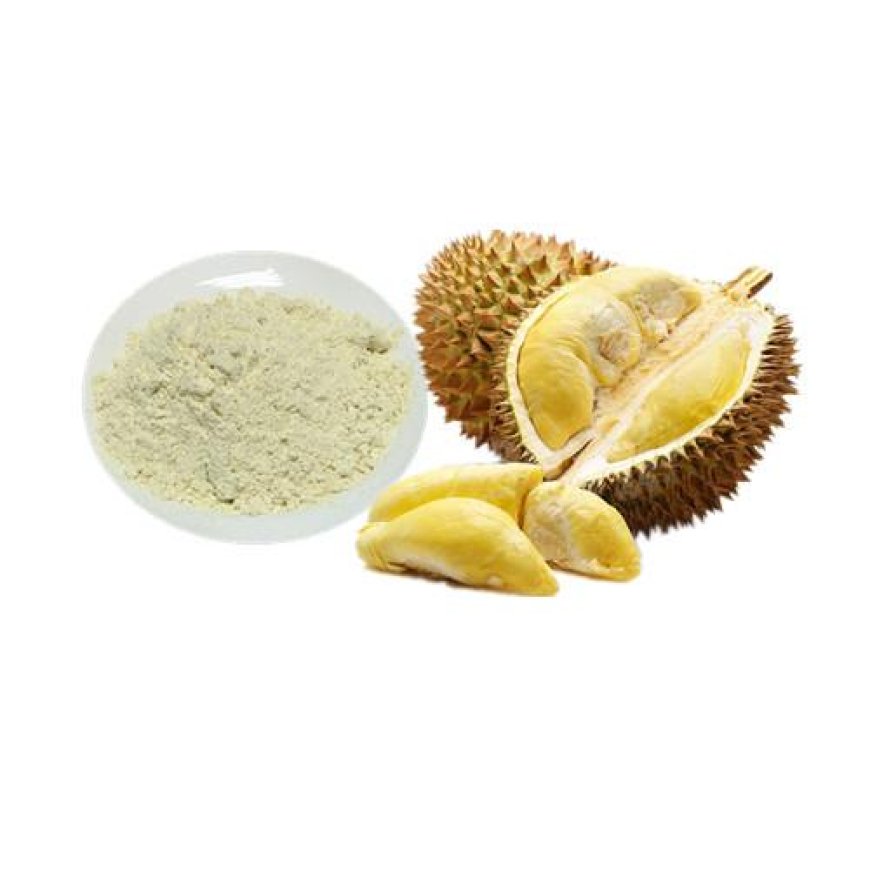 Durian Powder Market to Experience Significant Growth by 2033