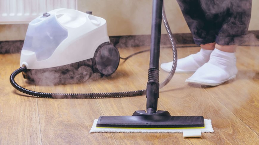 Steam Vacuum Cleaner Market Research Analysis with Trends and Opportunities To 2033