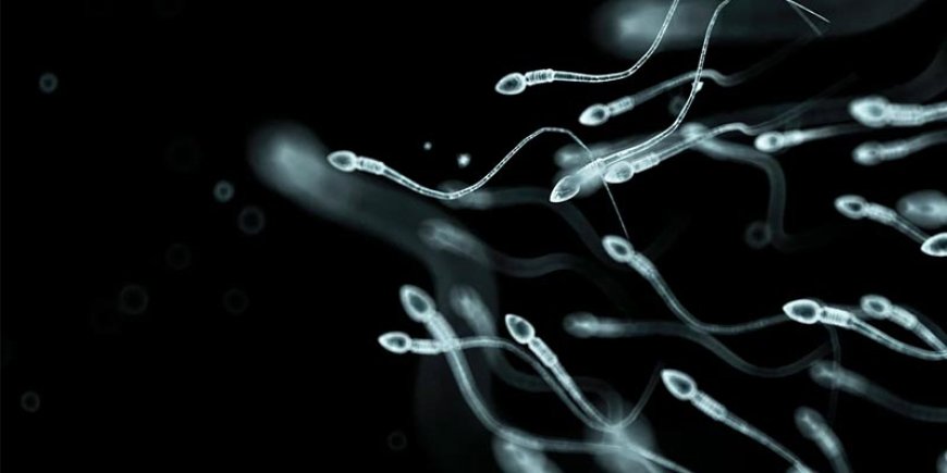 The Top Male Infertility Doctor in Delhi is A Respected Knowledgeable Urologist