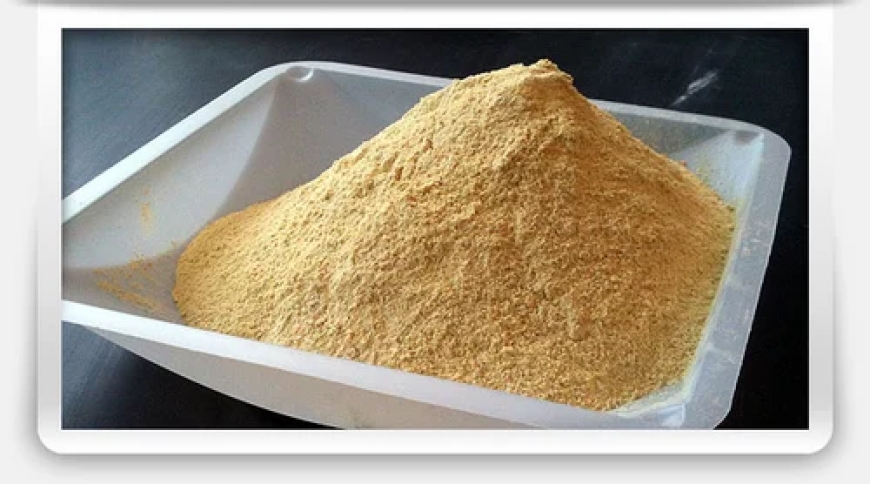 Whole Egg Powder Market Size, Trends, Scope and Growth Analysis to 2033