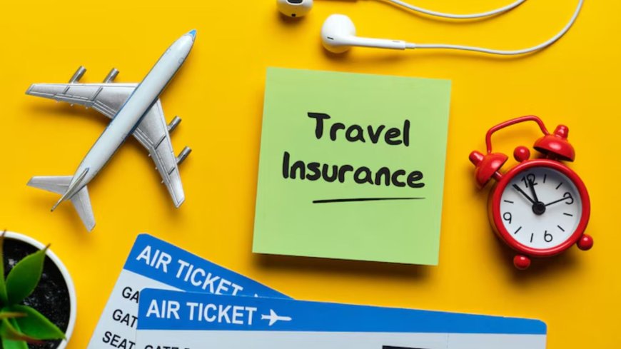 Travel Insurance Market: Emerging Players and the Role of Insurance Aggregators
