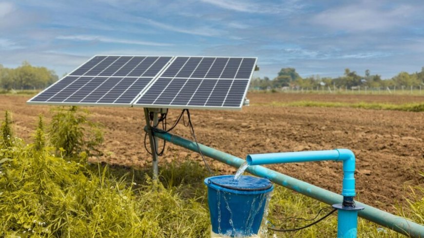 India Solar Water Pump Market Forecast: Trends and Opportunities