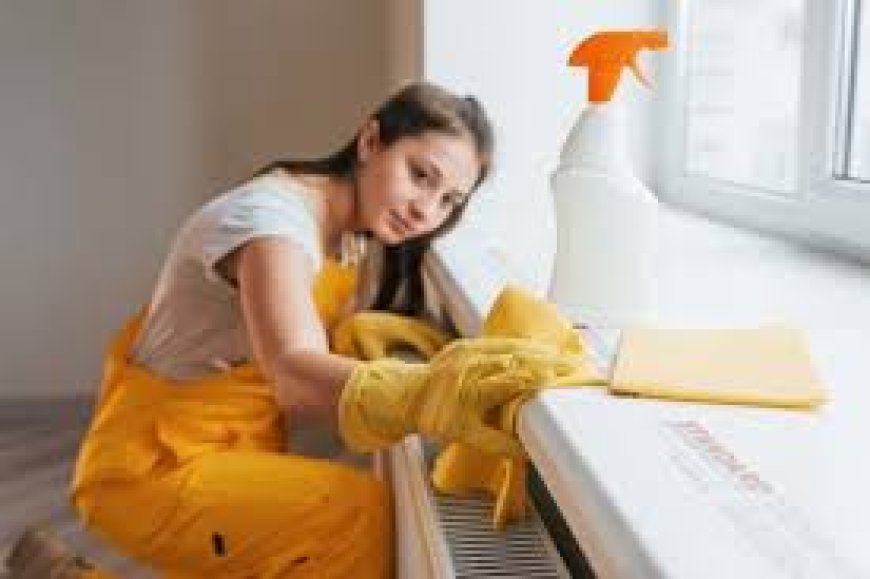 How Professional Commercial Cleaners Can Enhance Workplace Safety in Brisbane