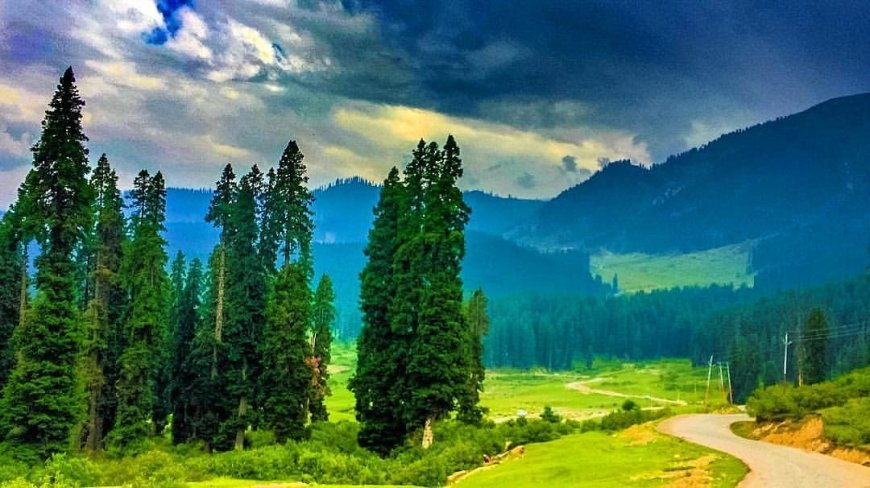 Kashmir with Sonmarg and Doodhpathri Excursion