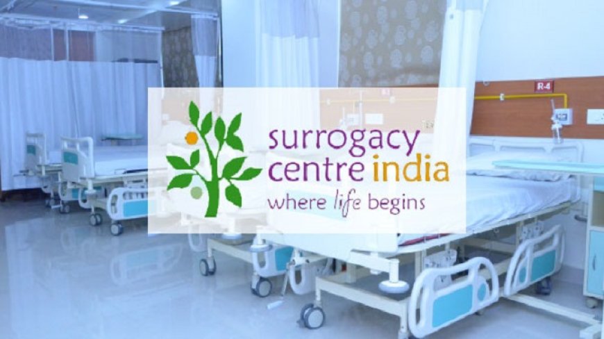 Exploring Altruistic Surrogacy in India: Who Can Opt for This Path to Parenthood?