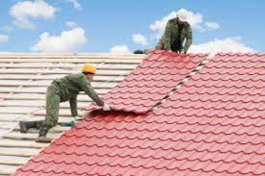 Raising the Roof: How to Choose the Best Roofing Company in Brampton