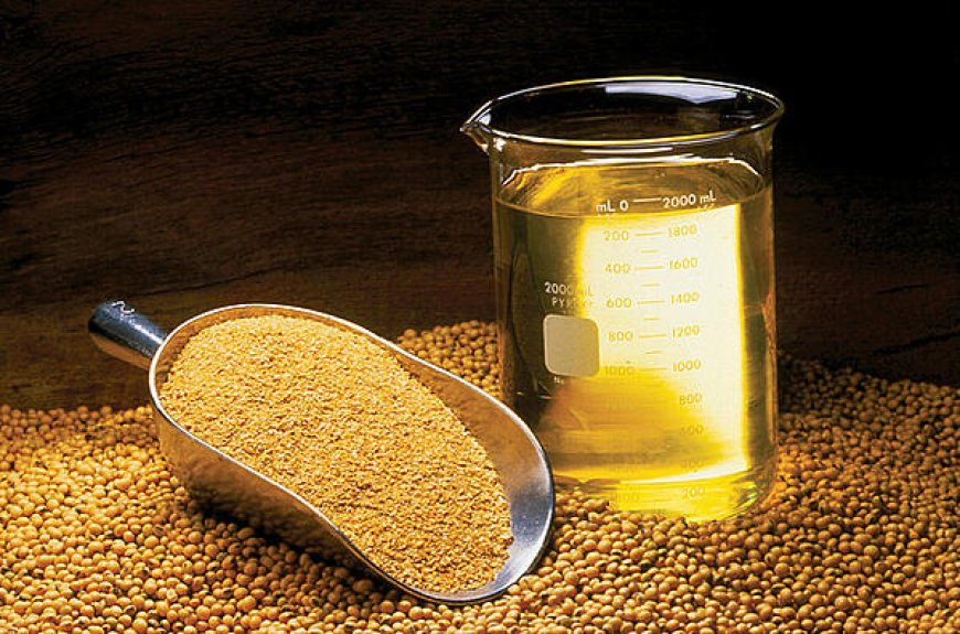 Non GMO Soybean Oil Market Size to Reach USD 3.2 Billion by 2033