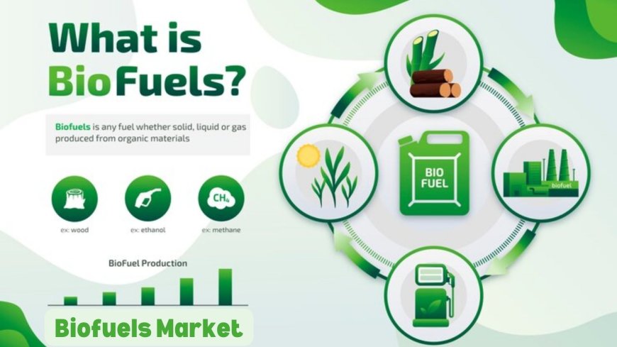 Biofuels Market Segmentation: Types, Feedstock, and Regional Analysis