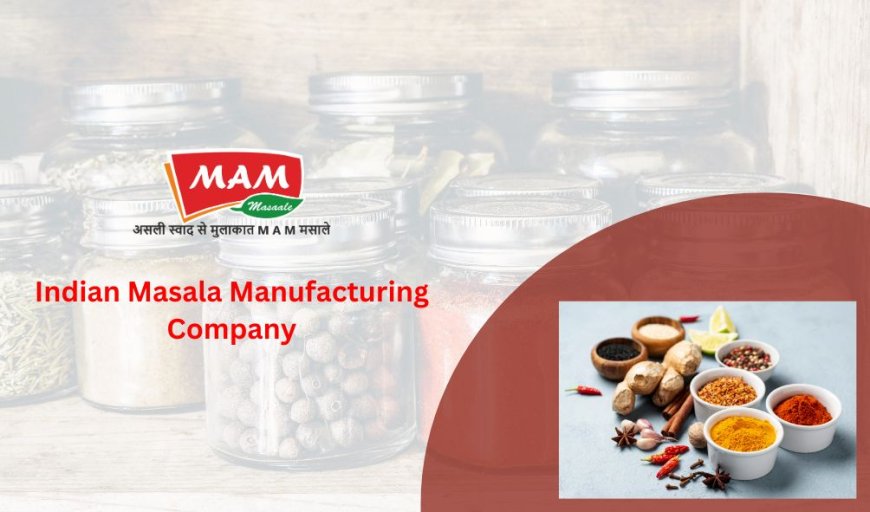 Indian Masala Manufacturing Company Delhi