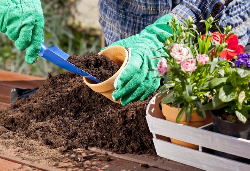 Creating the Perfect Garden Soil for Your Raised Garden Bed