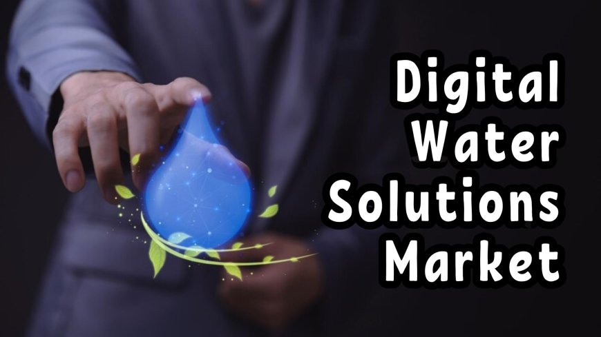 Digital Water Solutions Market: Regional Insights and Market Dynamics