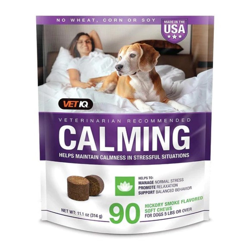 Finding Calm with VetIQ Calming Chews: A Comprehensive Guide to Supporting Anxious Dogs