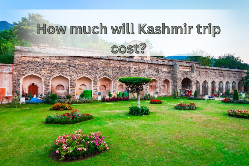 How much will Kashmir trip cost?