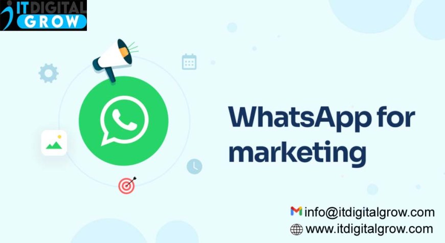 What is the profit of WhatsApp marketing