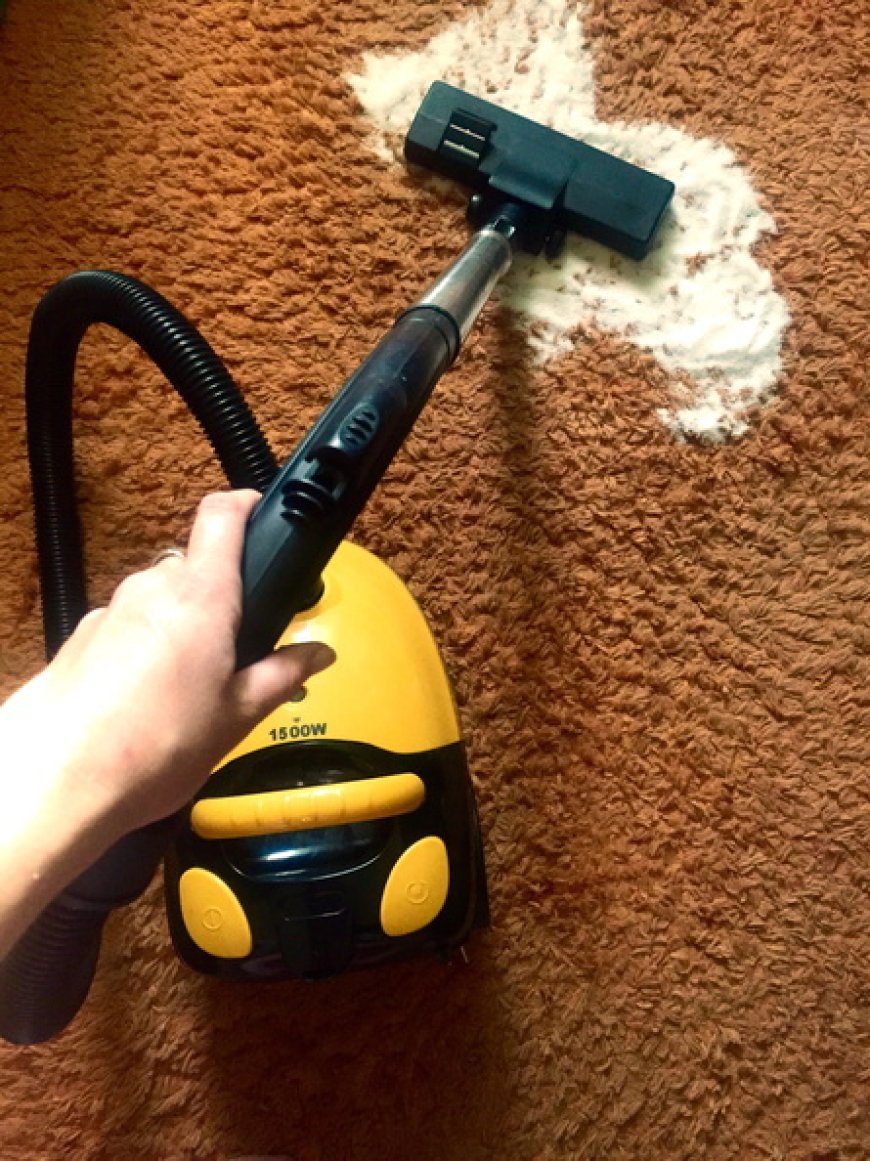 The Different Types Of Carpet Cleaning Services