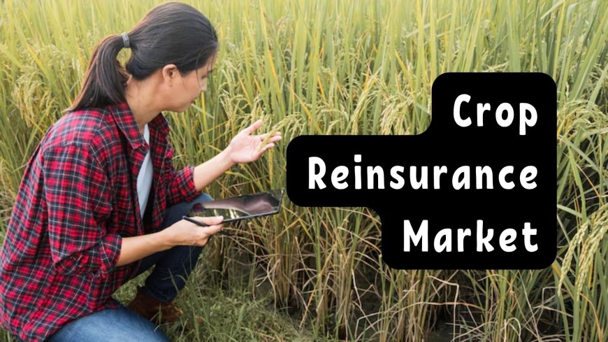 Crop Reinsurance Market: Adapting to Climate Change and Natural Disasters
