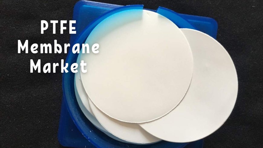 PTFE Membrane Market Research: Comprehensive Study on Market Trends and Outlook