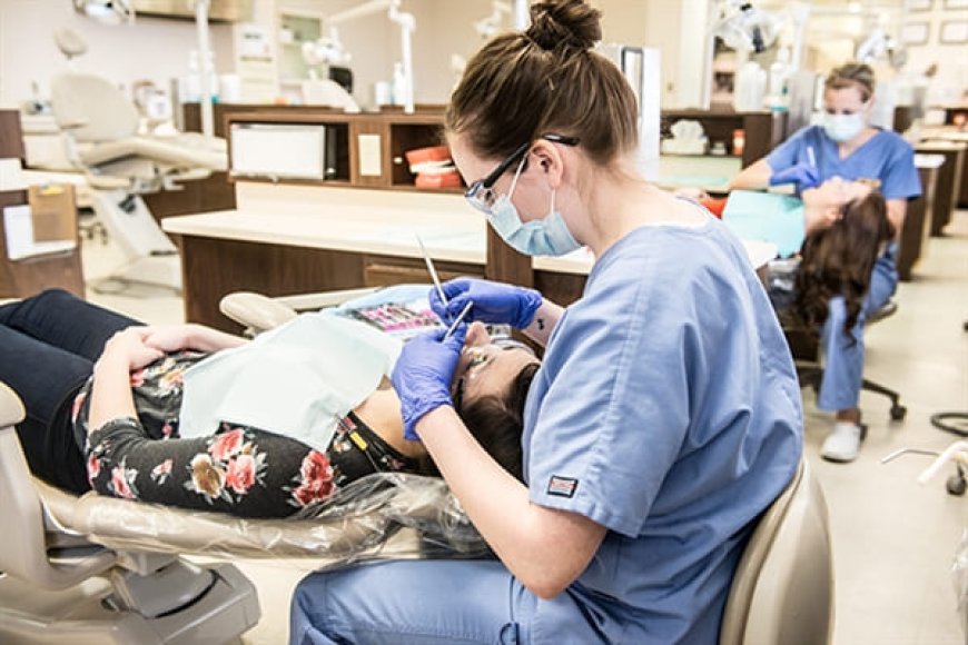 From Classroom to Clinic: The Journey of Dental Assisting Programs