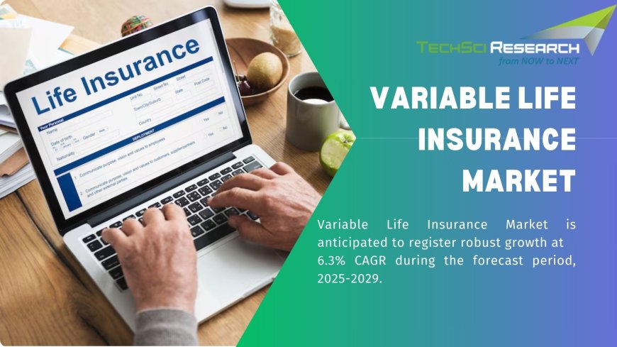 Variable Life Insurance Market: Regulatory Framework and Compliance