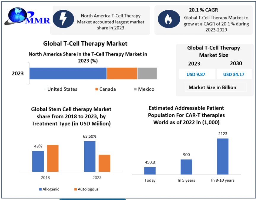 T-cell Therapy Market Outlook: Projected Growth to USD 34.17 Bn by 2030