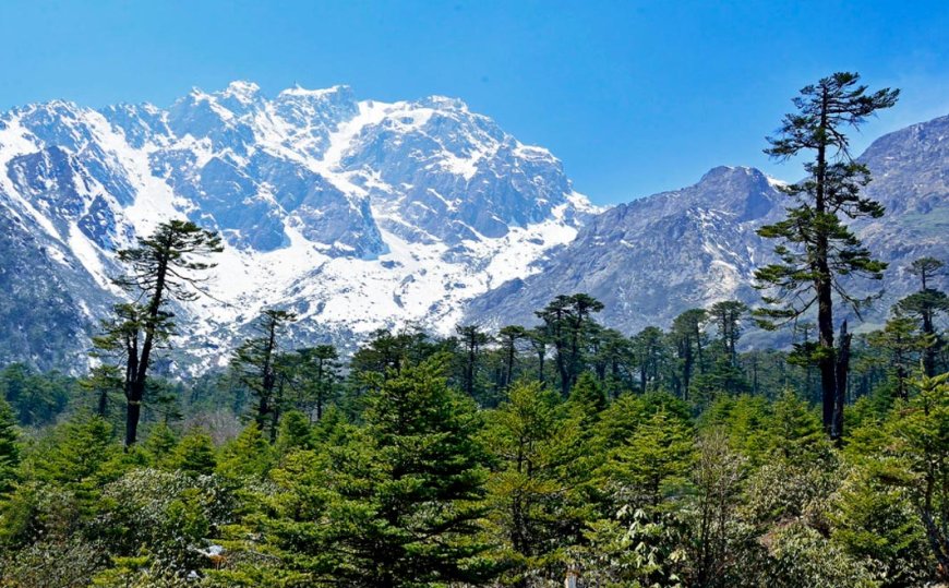 Complete Day-wise Sikkim Gangtok Summer Package Tour Offered by NatureWings Holidays
