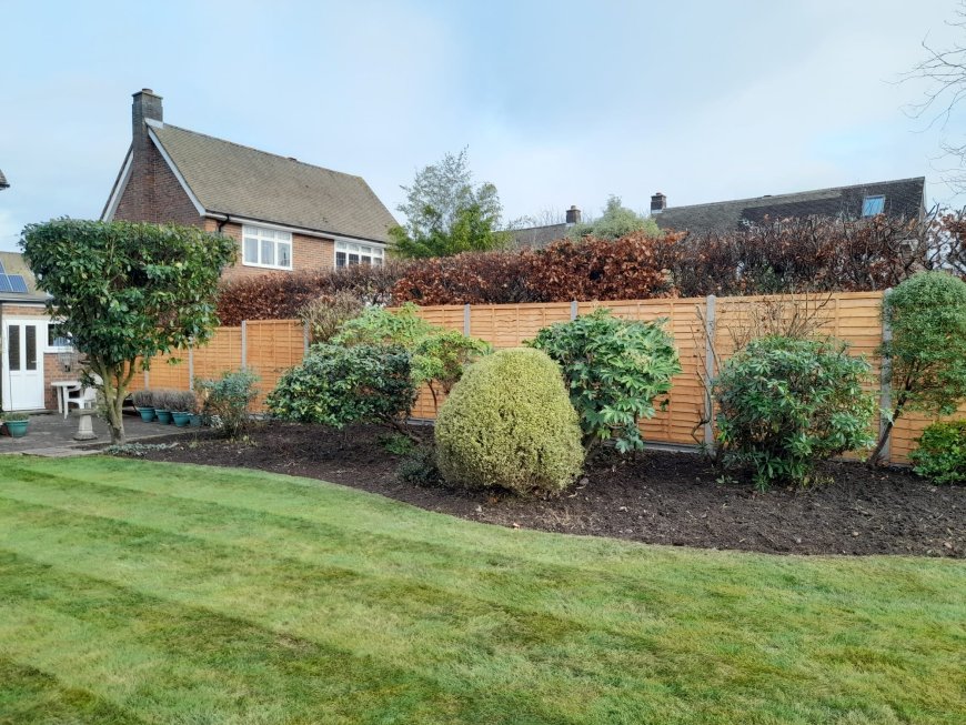 How to Choose a Fencing Contractor in Orpington: Insider Tips