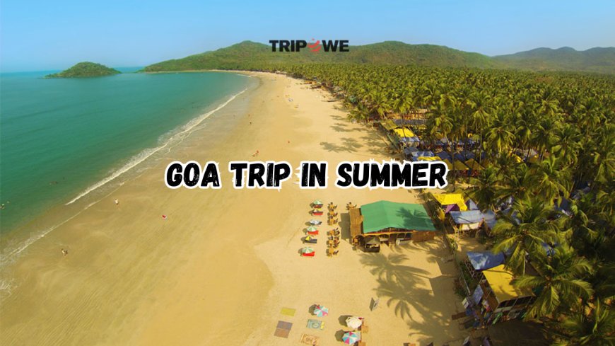 Goa Trip in Summer 2024