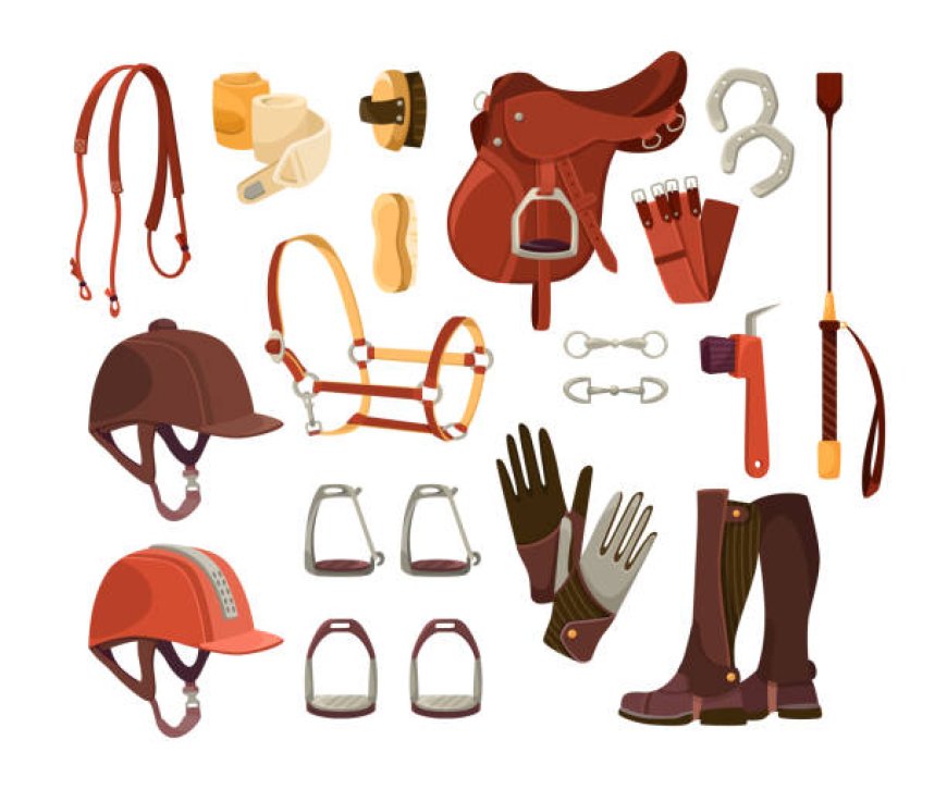 Equestrian Equipment Industry is poised to flourish at a 4.1% CAGR From 2023 to 2033