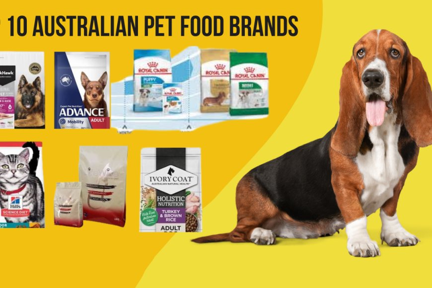 Top 10 Australian Pet Food Brands: Keeping Your Furry Friends Happy and Healthy - Froodl