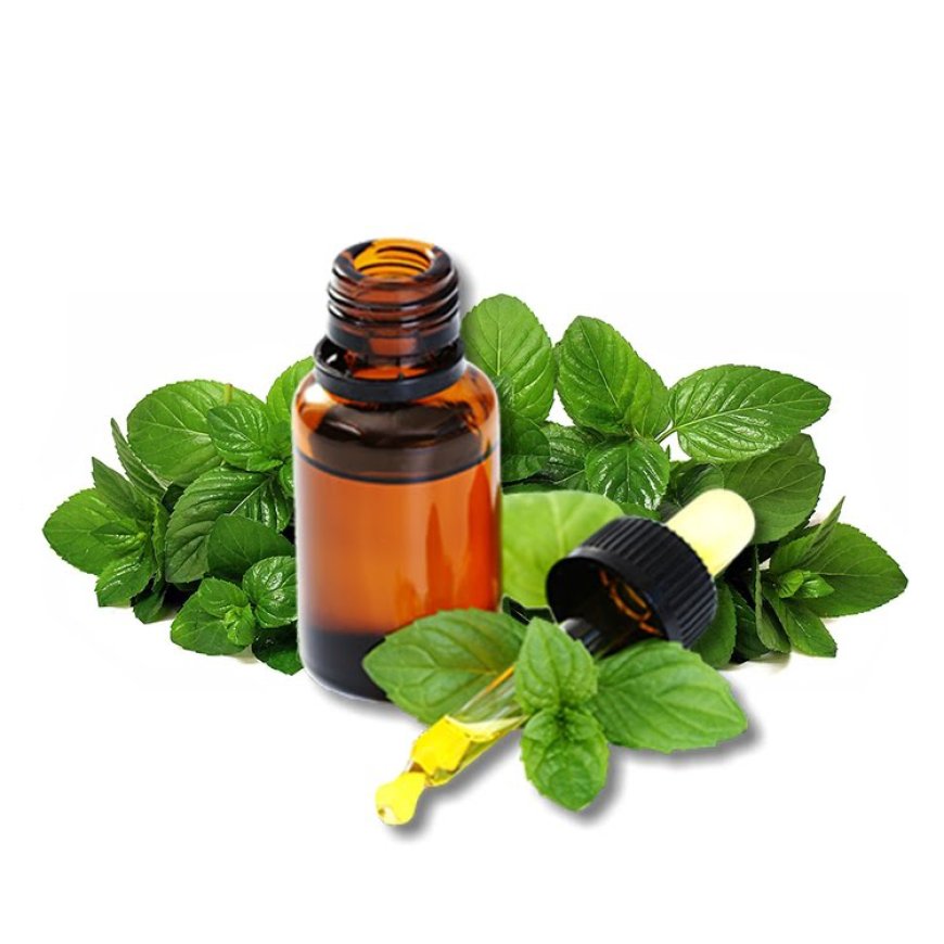 Sales of Oregano Oil are forecasted to reach US$ 13.49 billion by the end of 2034