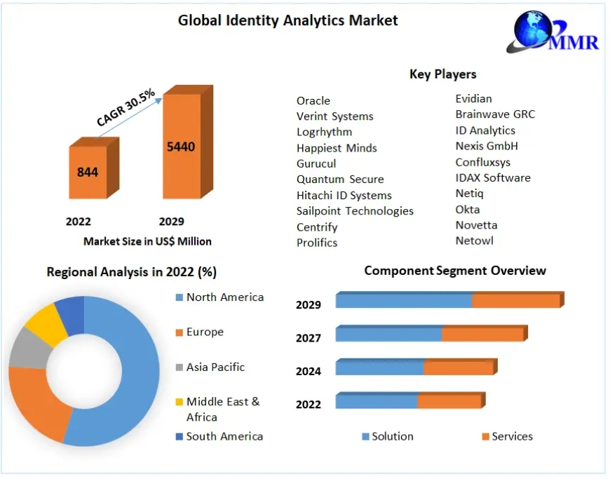 Identity Analytics Market Market Metrics Unleashed: Segmentation, Outlook, and Overview Trends | 2023-2029