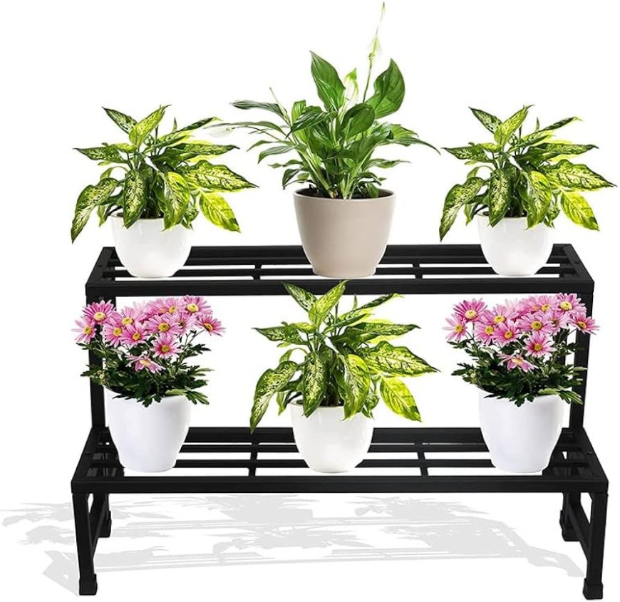 A Beginner's Guide to Orchid Stands