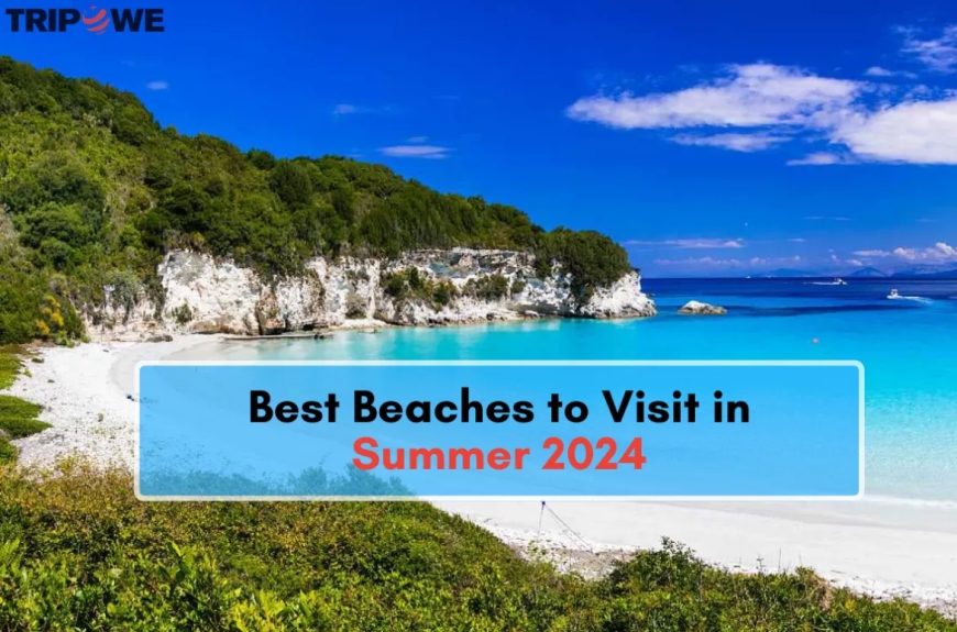 Best Beaches to Visit in Summer 2024