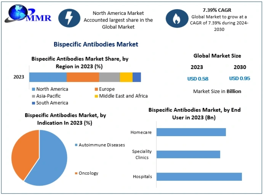 Bispecific Antibodies Market: Global Industry Analysis and Forecast (2024 -2030) Trends, Statistics, Dynamics