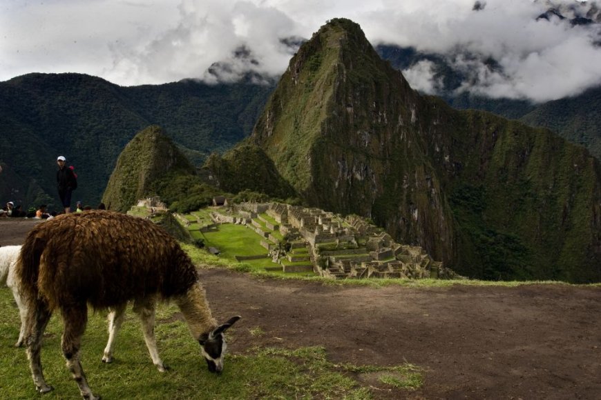 What are the different types of Inca Trail tours available?